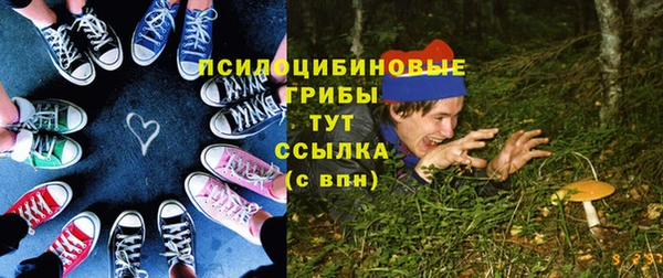 крисы Бронницы