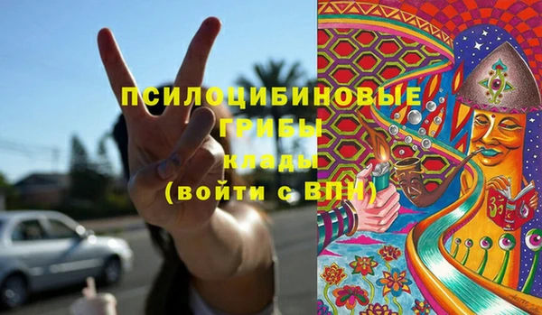 сатива Бугульма