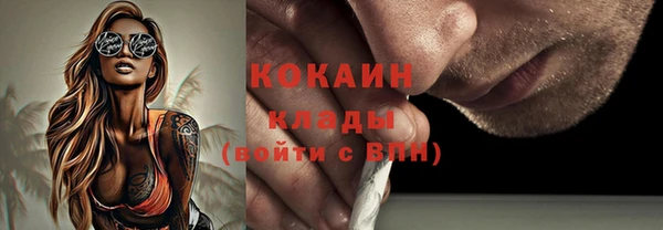 крисы Бронницы