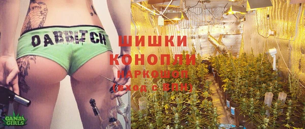 сатива Бугульма